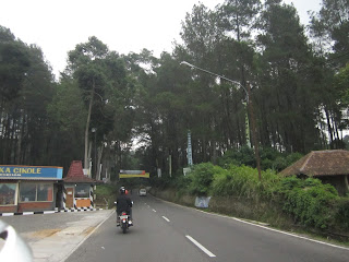 kawasan gunung