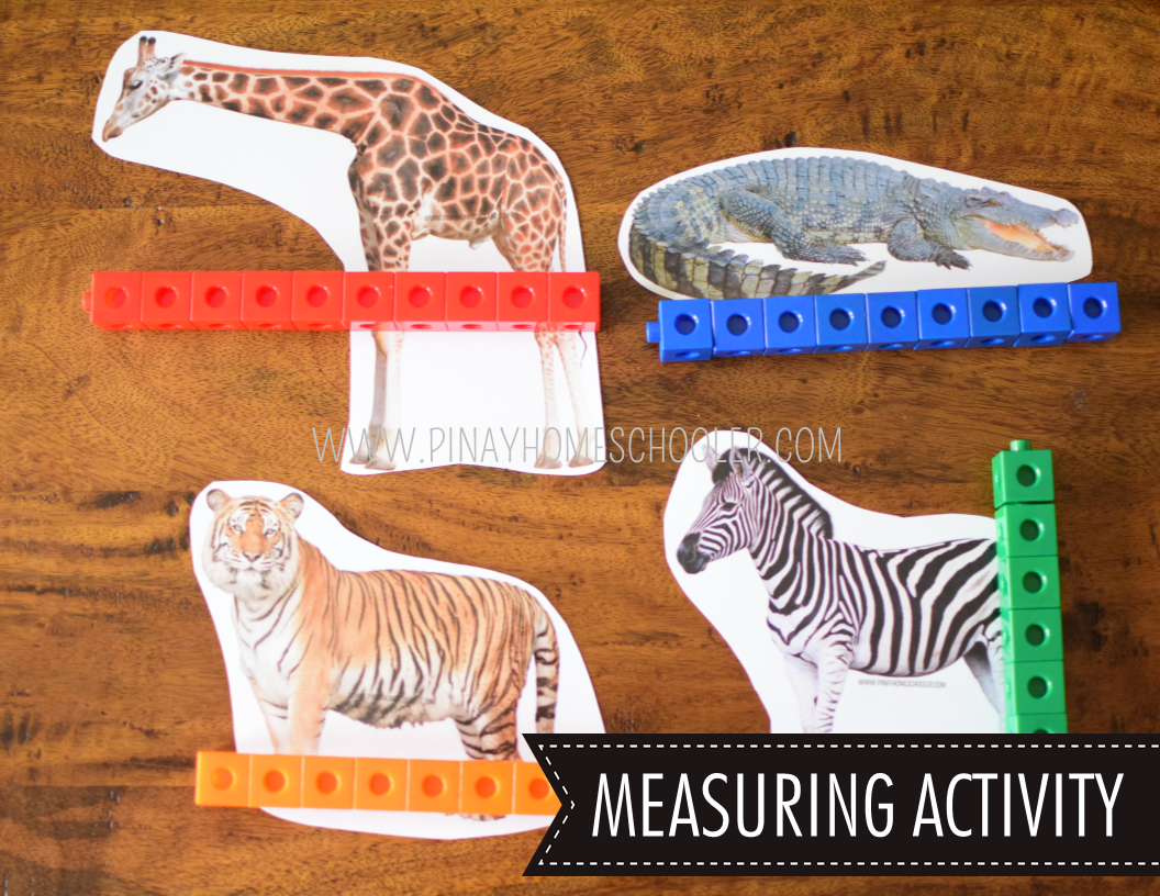 SAFARI TOOB THEME MATH ACTIVITIES