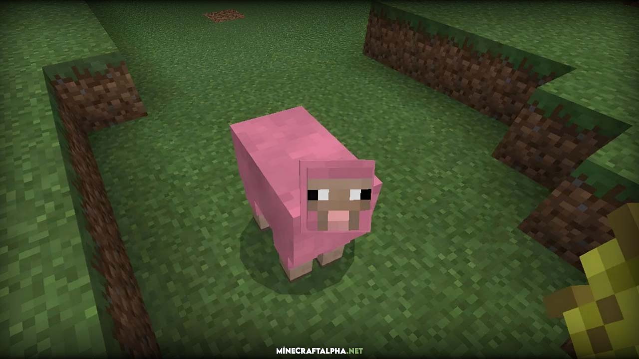 What shades of sheep are the rarest in Minecraft?