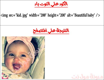 تاج <img> في html