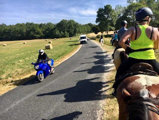 our horses were not afraid of incoming motorbikes or cars