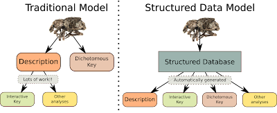 Taxonomic data models