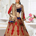 Bridal Wedding Sarees and Lehengas Pics 2014