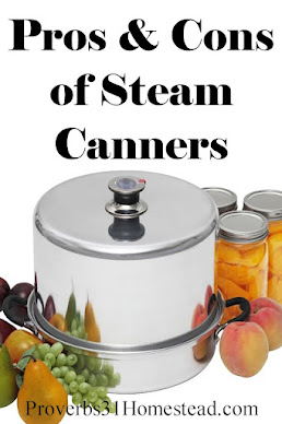 Pros & Cons of Steam Canners (Plus How to Use One!)
