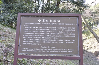 DSC 0329