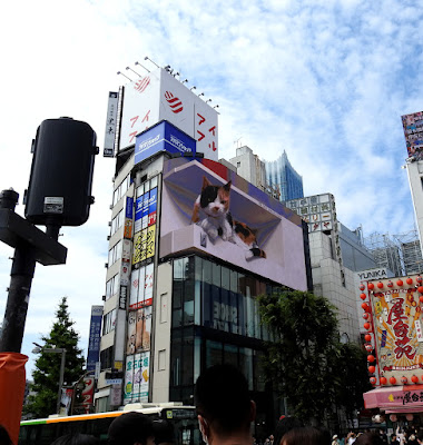 新宿東口の猫