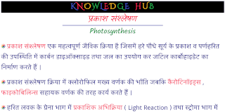 Photosynthesis Hindi Notes PDF Download