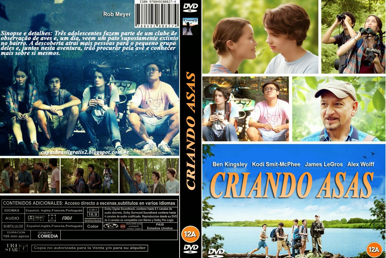 Criando Asas - DVD Capa Grátis 2015