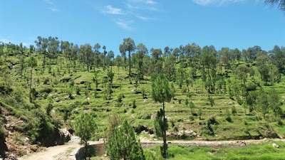 Himalayan Views On Raod Land 3000 Nali For Sale In Nainital Uttarakhand