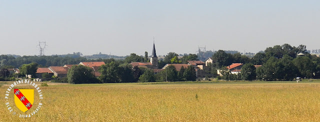 CLEREY-SUR-BRENON (54) - A la découverte du village !