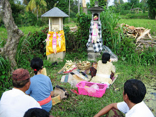 Ritual Mesesangi to offer Guling Offering in Bali