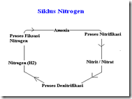 Siklus Nitrogen Daur  Nitrogen dalam  Biogeokimia Kamus Q