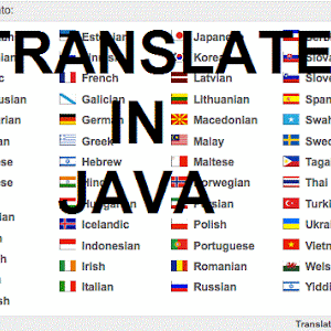 TRANSLATE IN JAVA SCRIPT