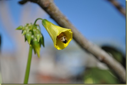DSC_1055_2924