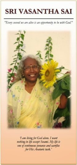 Vasantha Sai brochure