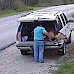 Texas Man Caught on Camera Dumping Helpless Dog on Roadside and Driving Away