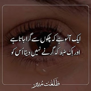 Sad poetry in urdu 2 lines about life || best 2 line urdu poetry