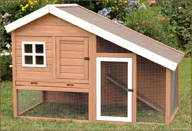 Self Design a Chicken Coop for Your Needs