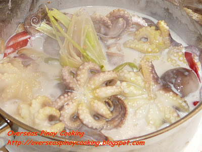 Ginataang Pugita, Baby Octopus in Coconut Milk - Cooking Procedure