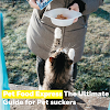  Pet Food Express: The Ultimate Guide for Pet suckers