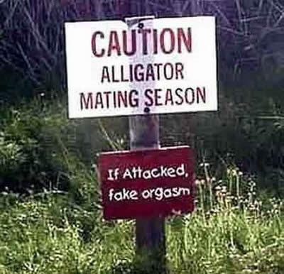 funny signs. Funny Signs For Wildlife