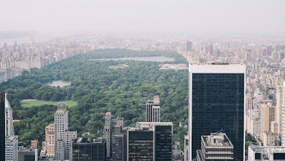 Central Park in New York City