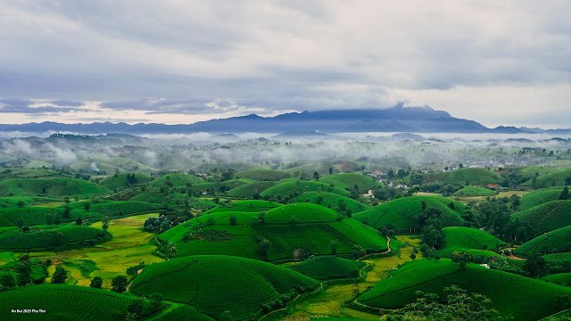 An Bui 2023 Phu Tho - Long Coc Tea Hill (Đồi chè Long Cốc)