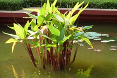 P1000449