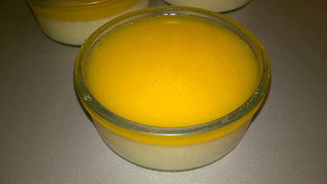 Panacotta légère aux mandarines (thermomix)