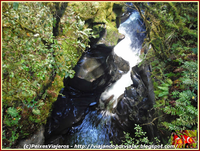 The Chasm walk