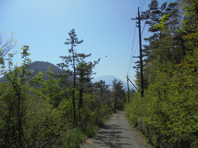 左に孝霊山