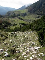 Planina Koren