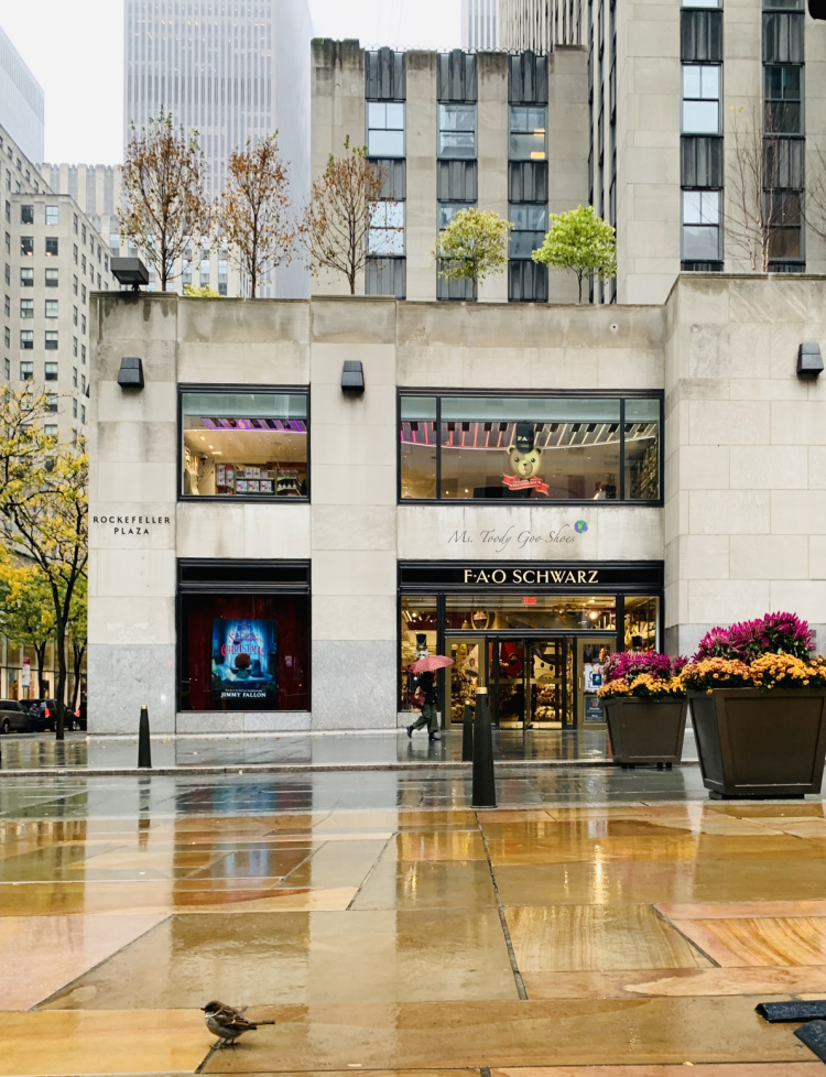 FAO Schwartz, in Rockefeller Center, NYC, is one of the most famous toy stores in the world. | Ms. Toody Goo Shoes