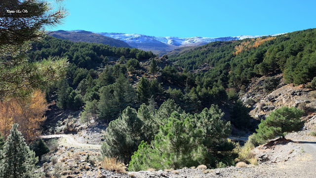 Barranco el sabinar, Sierra Nevada