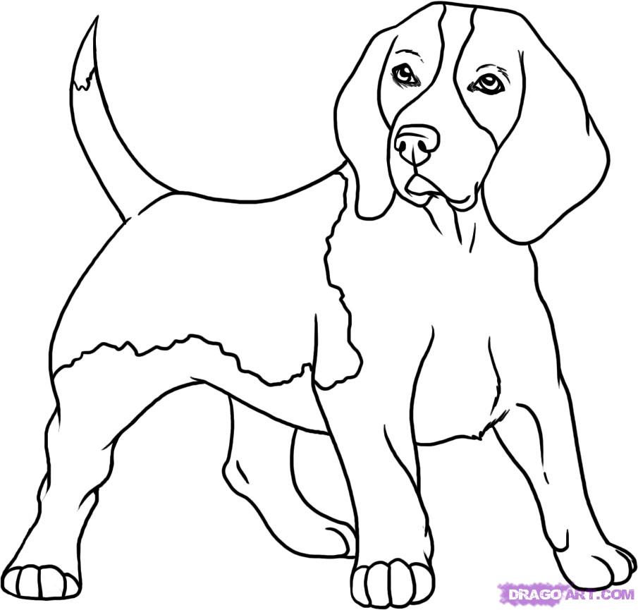 funny pictures: How to draw a dog easily for kids