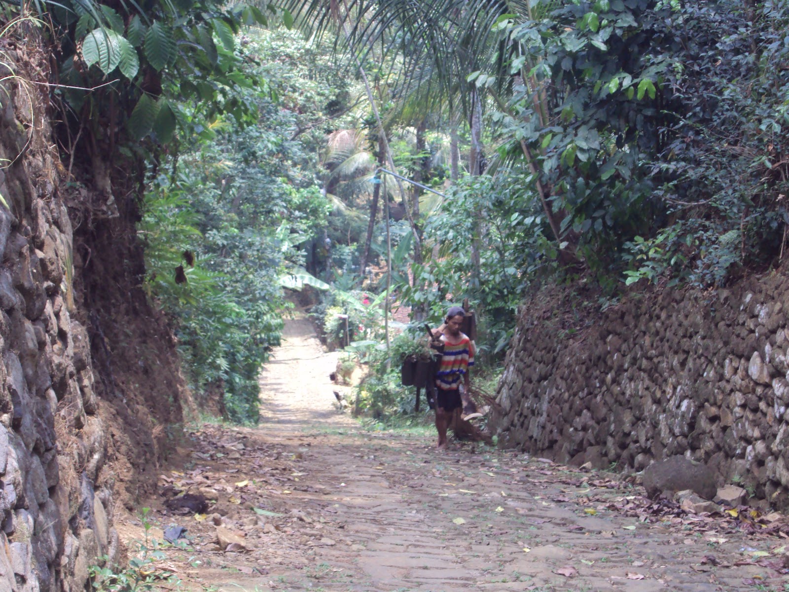 Sambirata Yang Belum Merata