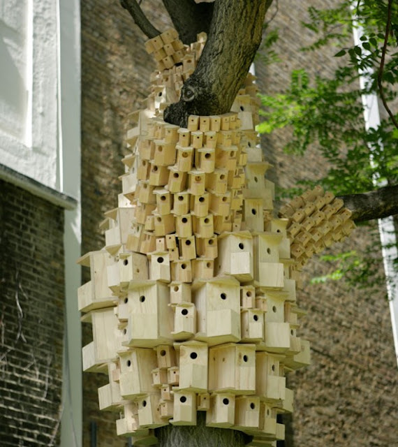 Unique Bird House