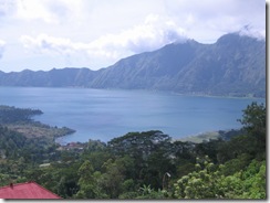 kintamani1