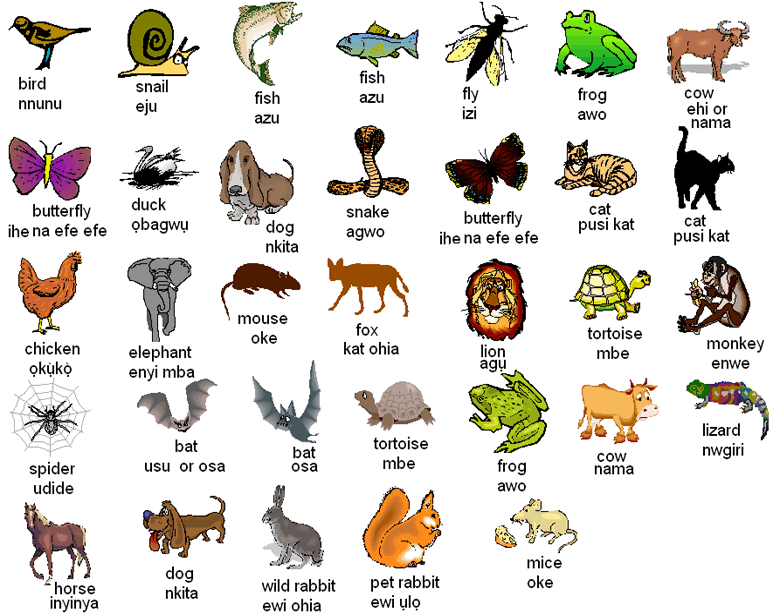 Amazing Photos: Animals Photos with Names
