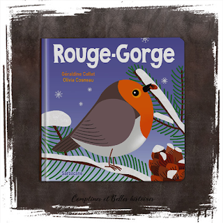 Rouge-Gorge livre documentaire pour enfant sur les oiseaux de Collet et Cosneau Editions Sarbacane