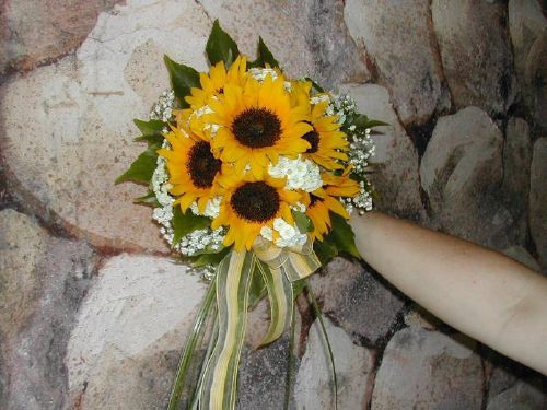 Simple bright sunflowers and baby's breath bridal bouquet hand tied with 