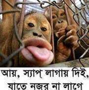 bangla funny photos