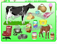 Resultado de imagen para derivados de los animales dela granja