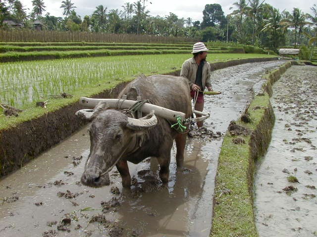  Demi Masa yg Terus BerLalu Sebenarnya kita ini 