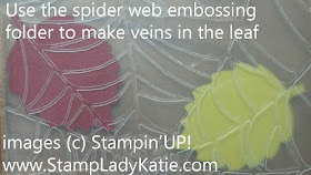 Spider Web embossing folder makes veins in a leaf.