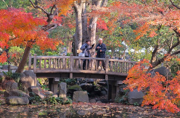 Japanese Style Garden Bridge