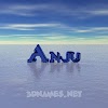 The Anju Blog