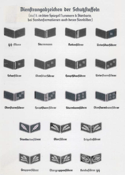 SS-arvomerkit natsipuolueen visuaalisesta ohjeesta. SS-sotilasarvot.