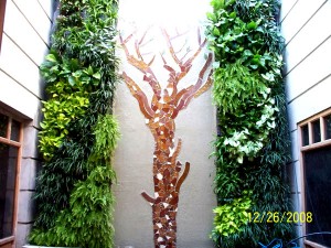 vertical garden