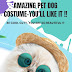 Amazing Pet Dog Costume-You'll Like It !!